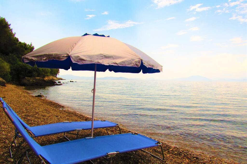 Christie'S Ground Floor Apartment By The Sea Kato Gatzea Zewnętrze zdjęcie